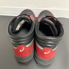 【限定カラー】asics 26cmの画像