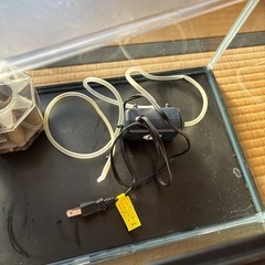 飼育水槽の画像