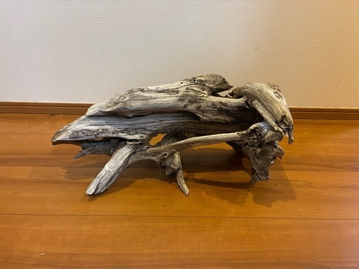 流木