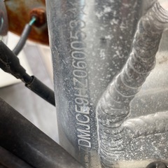 猿の中国語の画像