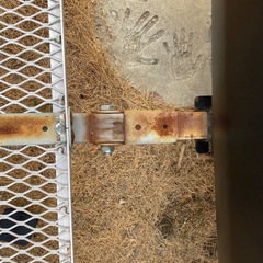 【CURT 正規品】 カーゴキャリア ヒッチカーゴ 18100 アルミ製 折りたたみ可 2インチ角　50.8mm ヒッチキャリア　クルト　引き取り希望の画像