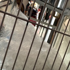 モモンガ ゲージの画像