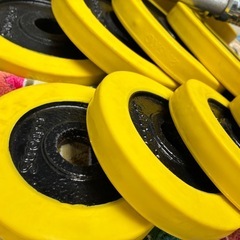 stronger 可変式ラバーダンベルセット　イエローの画像