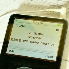 Apple iPod Classic A1136 30GBの画像