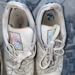 NIKE SB  26 adidas STAN SMITH 23.5の画像