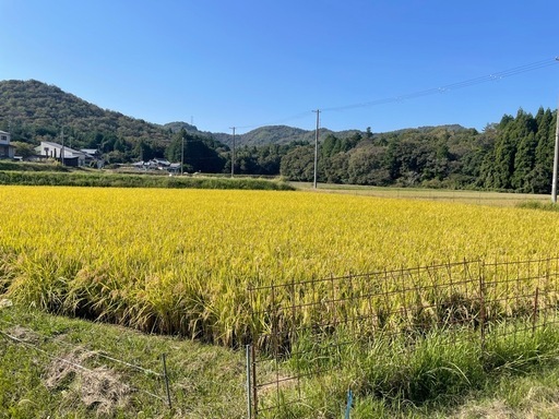 肥料にこだわったお米『 にこまる」玄米30kg