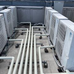 初心者でも3年かけてじっくり、しっかり育てます。の画像