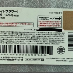 映画 ナイトフラワー 全国前売り券② 新品未使用 1枚 (計3枚在庫アリ)の画像
