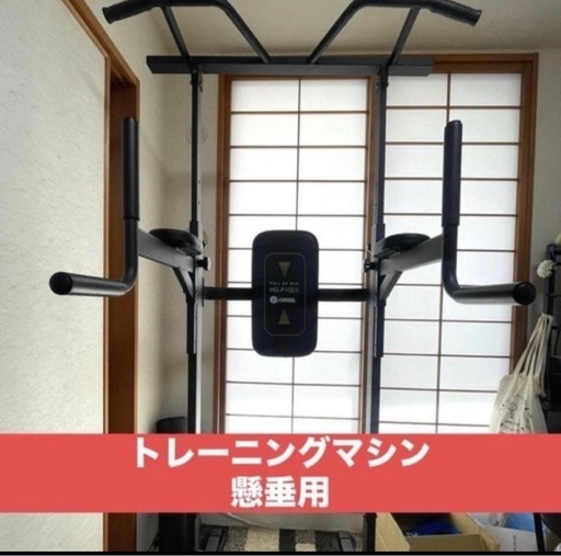 ⚫︎現金払い⚫︎HAIGE ハイガー ぶら下がり健康器 懸垂マシン プラップバー
