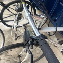 ジャイアント　XSの画像