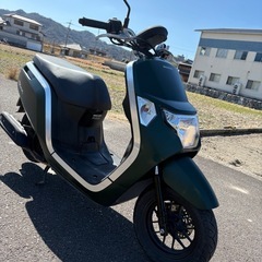 配達可能　ホンダ　ダンク　原付　バイク　車体の画像