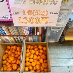 三ヶ日みかん 8kg 訳あり 特価 青島みかん 静岡県 浜松市 静岡県産の画像