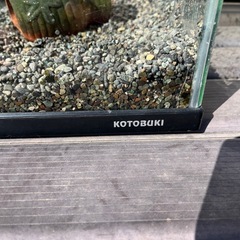 水槽　　コトブキの画像