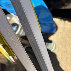 スワロー　ノルディクスキーの画像