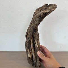 流木の画像