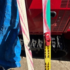 カザマ　ノルディクスキーの画像