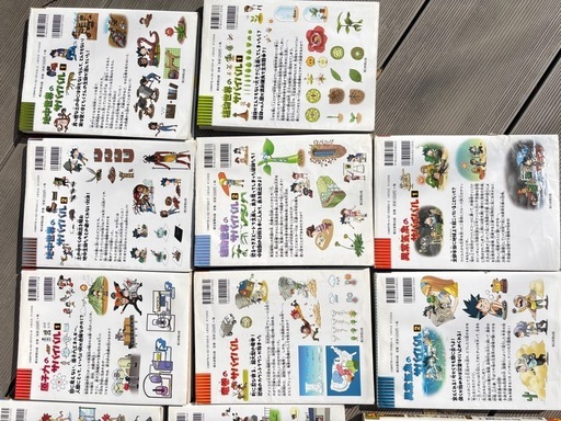 ○○のサバイバル　20冊まとめ買い