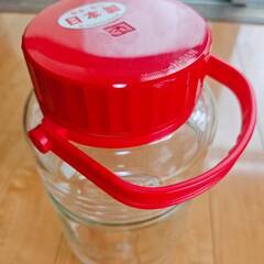 長期保存果実酒びん４ｌの画像