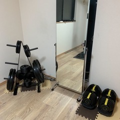 アイロテック　ジムラック一式の画像