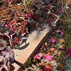 【無料】レンガ　約100個の画像