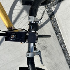 世界一売れている　FUJIフェイザー　シングルスピードの画像