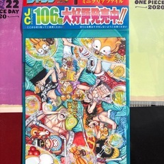 ONE PIECEクリアファイル　106巻発売時特別ミニクリアファイル付きの画像