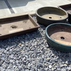 盆栽 鉢 ¥1000～ありますの画像