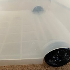 衣装ケース2個無料¥0 です。の画像