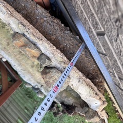 ミニ池水槽の画像