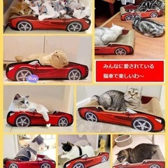 猫爪とぎ つめとぎの画像