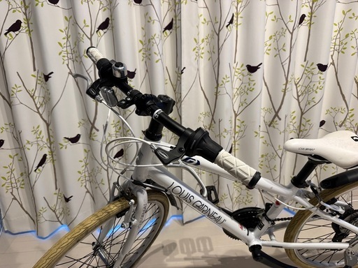 24インチ　子供用自転車　　ルイガノ