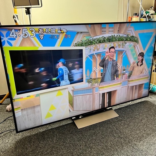 ?Panasonic パナソニック?49型液晶テレビ?4K?Wチューナー?外付け 