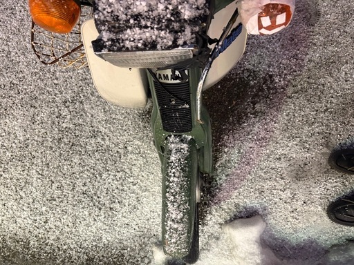 メイト50cc（明日正午まで）