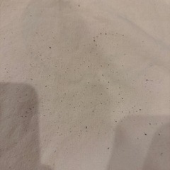 ミスド×ポケモン　トートバッグ差し上げますの画像