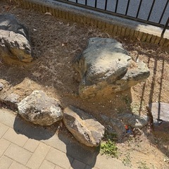 庭石　無料です。の画像