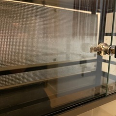 決まりました。
パンテオンブラックBK6035  爬虫類ゲージ の画像