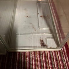 GEX スリム水槽　2つの画像