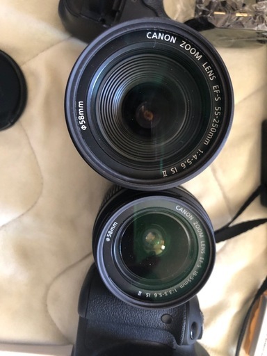 豪華セットCanon EOS Kiss X5 デジタル一眼レフカメラ 