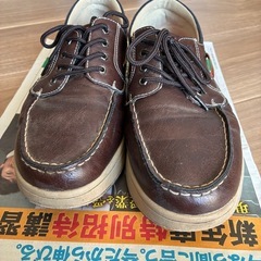 靴　メンズ　26cm　エドウィン　　の画像