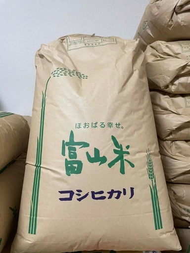 ? 令和7年産 新米 コシヒカリ 玄米 30kg 