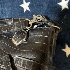 急募！4℃の2wayバッグの画像