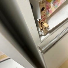 キッチン棚 収納の画像