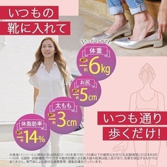 カモシカソール 中敷き 美脚 消費カロリー 姿勢サポート 21.0～22.5cmの画像