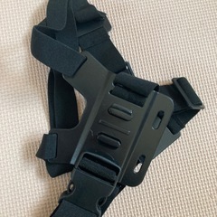 カード、リュックの画像