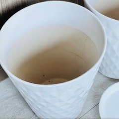 プランター プレート まとめ売り 樹脂製 陶器製 ガーデニング 植木鉢 家庭菜園 鉢カバー セット プラスチック 鉢皿 apple ラスターポットの画像