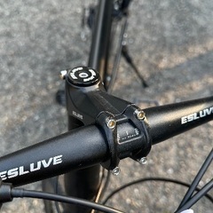 エスルーヴ マウンテンバイクの画像