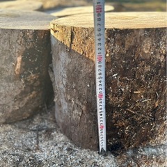 【広葉樹ニレ】直径約40cm×高さ約35cm 薪割り台／重量級で安定感抜群の画像