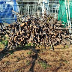 薪(剪定枝)細めの画像