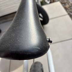 ストライダーの画像