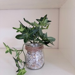 インテリアの画像